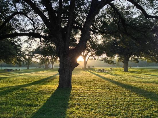 Castroville Regional Park